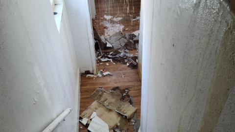 Cut the Red Wire!! (1 Week in) - 1_20210319_155735.jpg