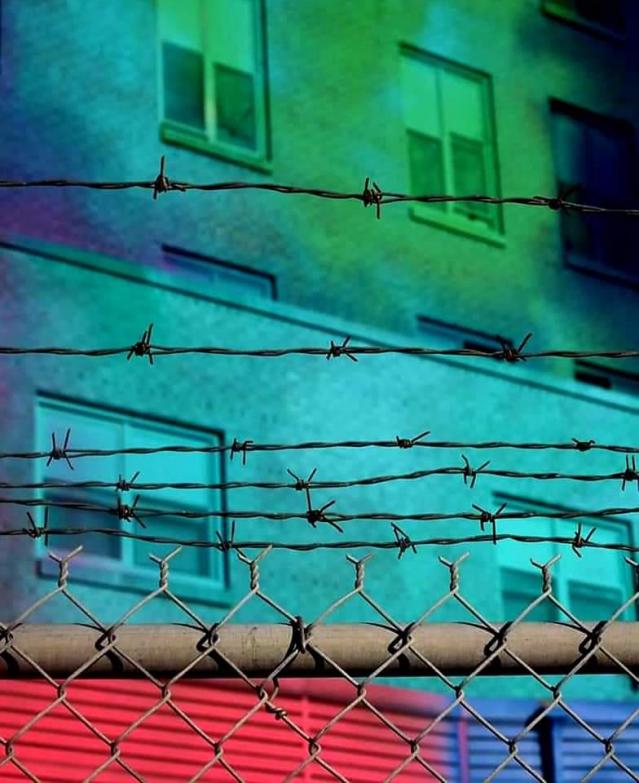 Canada's Largest Mural - FB_IMG_1621110825320.jpg