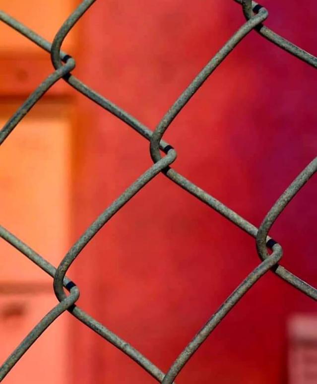 Canada's Largest Mural - FB_IMG_1621110827880.jpg