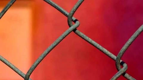 Photo from Canada's Largest Mural