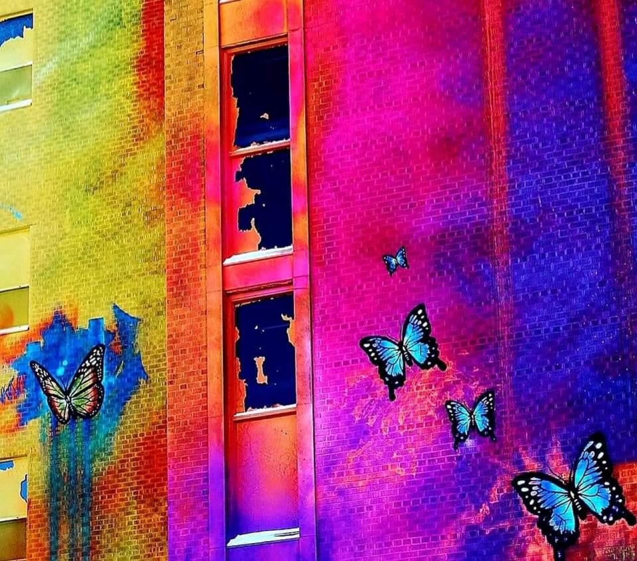 Canada's Largest Mural - FB_IMG_1621110830656.jpg