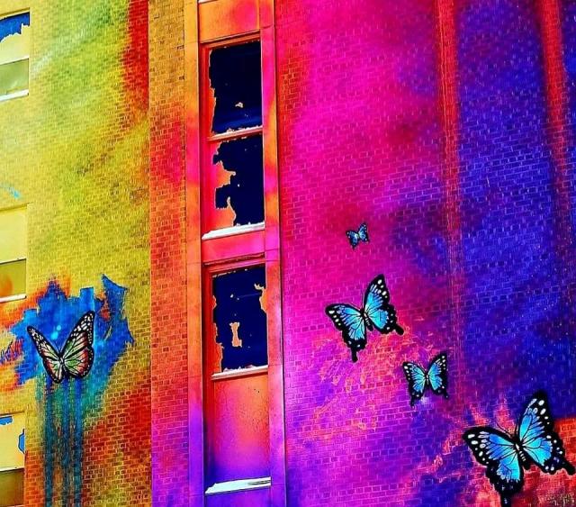 Canada's Largest Mural - FB_IMG_1621110830656.jpg