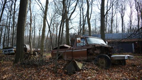 I Like My Mogwai Wet - Dec. 2014 - 1.jpg