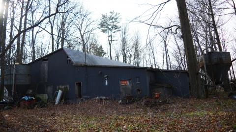 I Like My Mogwai Wet - Dec. 2014 - 2.jpg