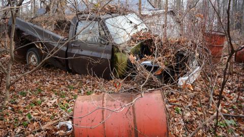 Photo from I Like My Mogwai Wet - Dec. 2014