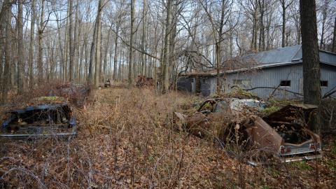 I Like My Mogwai Wet - Dec. 2014 - 4.jpg