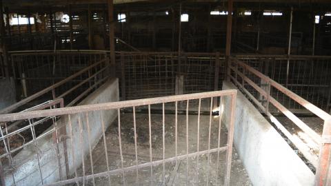 I Like My Mogwai Wet - Dec. 2014 - 7.1.jpg