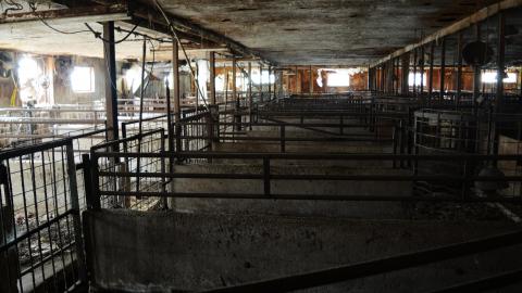 I Like My Mogwai Wet - Dec. 2014 - 7.jpg