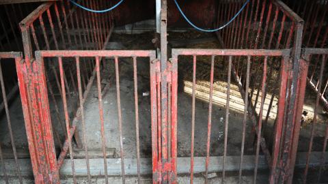 Photo from I Like My Mogwai Wet - Dec. 2014