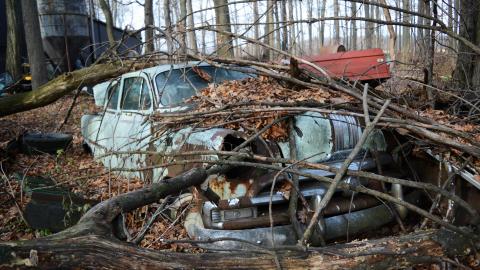 I Like My Mogwai Wet - Dec. 2014 - 10.jpg