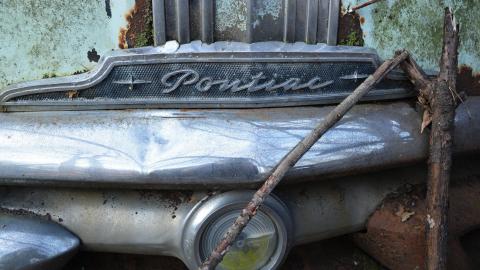 Photo from I Like My Mogwai Wet - Dec. 2014