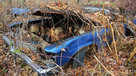 I Like My Mogwai Wet - Dec. 2014 - 13.jpg