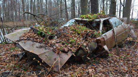 I Like My Mogwai Wet - Dec. 2014 - 16.jpg