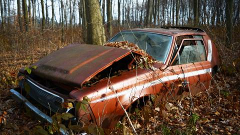 I Like My Mogwai Wet - Dec. 2014 - 19.jpg