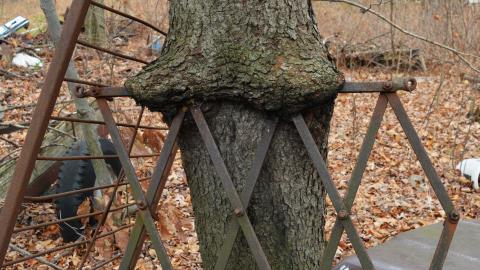 I Like My Mogwai Wet - Dec. 2014 - 20.jpg