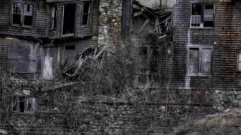 February 2020 - Collages9.jpg