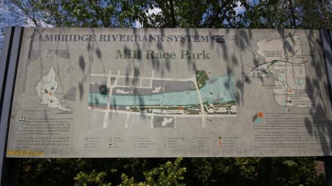 Relax At The Race - IMG_2553.JPG