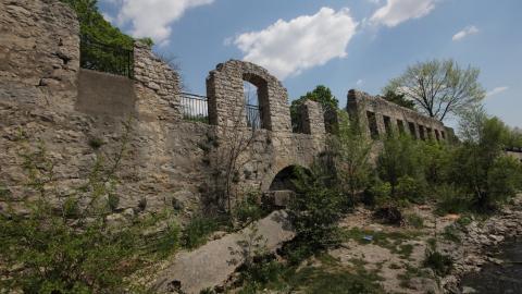 Relax At The Race - IMG_2651.JPG