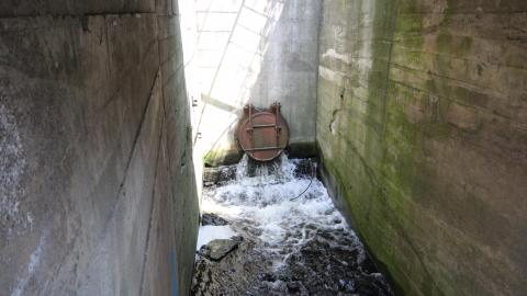 Relax At The Race - IMG_2642.JPG