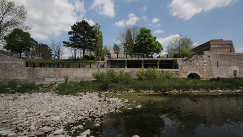 Relax At The Race - IMG_2659.JPG