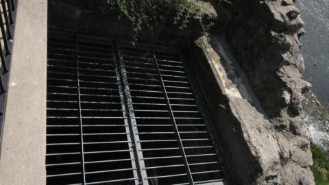 Relax At The Race - IMG_2635.JPG