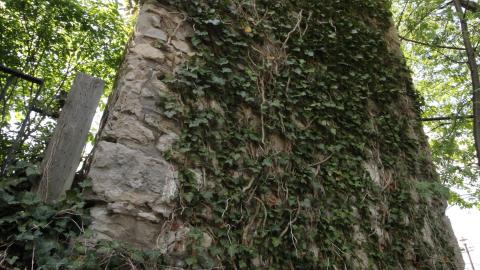 Relax At The Race - IMG_2628.JPG