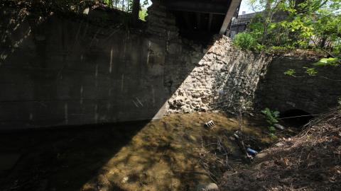 Relax At The Race - IMG_2625.JPG