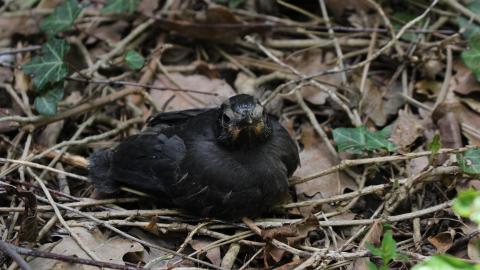 Relax At The Race - IMG_2622.JPG