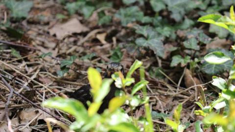 Relax At The Race - IMG_2618.JPG