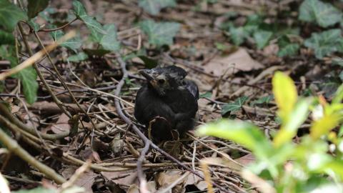 Relax At The Race - IMG_2617.JPG