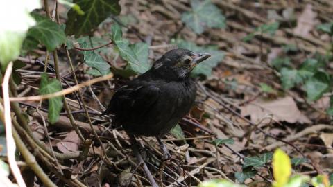 Relax At The Race - IMG_2603.JPG