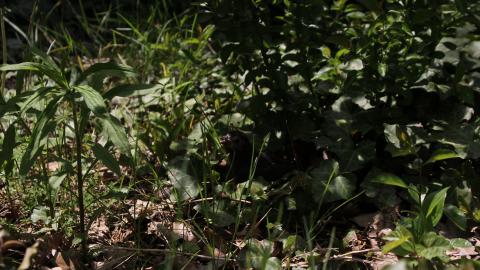 Relax At The Race - IMG_2594.JPG