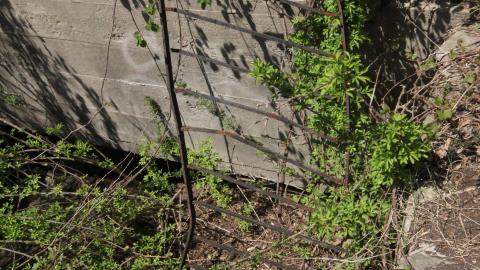 Relax At The Race - IMG_2591.JPG