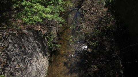 Relax At The Race - IMG_2583.JPG