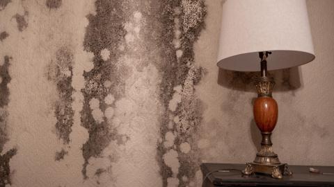 Months Before the Fire - abandoned woodhill heritage house-6.jpg