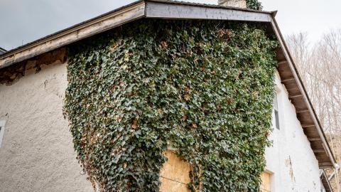 Months Before the Fire - abandoned woodhill heritage house-39.jpg