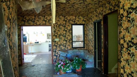 Discovery - Summer 2012 - Abandoned Cat Lady House Freaktography 2012 Discovery-43.jpg