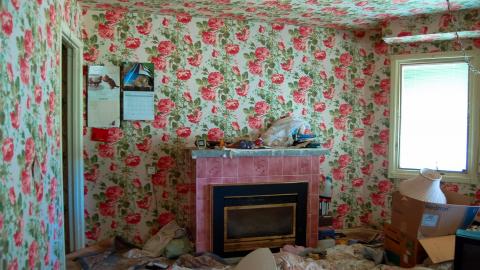 Discovery - Summer 2012 - Abandoned Cat Lady House Freaktography 2012 Discovery-45.jpg