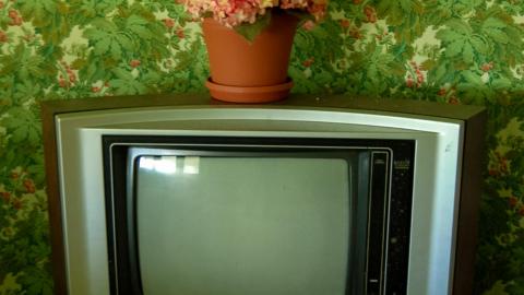 Discovery - Summer 2012 - Abandoned Cat Lady House Freaktography 2012 Discovery-49.jpg