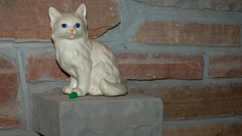 Discovery - Summer 2012 - Abandoned Cat Lady House Freaktography 2012 Discovery-51.jpg