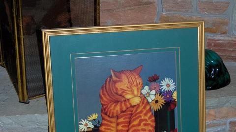 Discovery - Summer 2012 - Abandoned Cat Lady House Freaktography 2012 Discovery-52.jpg