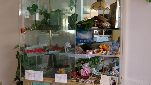 Discovery - Summer 2012 - Abandoned Cat Lady House Freaktography 2012 Discovery-57.jpg