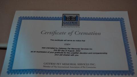 Discovery - Summer 2012 - Abandoned Cat Lady House Freaktography 2012 Discovery-61.jpg