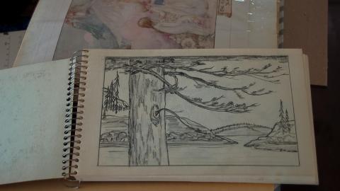 Discovery - Summer 2012 - Abandoned Cat Lady House Freaktography 2012 Discovery-65.jpg