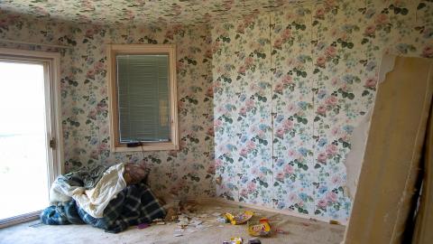 Discovery - Summer 2012 - Abandoned Cat Lady House Freaktography 2012 Discovery-71.jpg