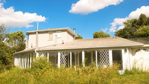 Discovery - Summer 2012 - ferndale1.jpg