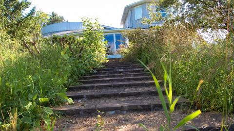 Discovery - Summer 2012 - ferndale5.jpg