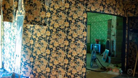 Discovery - Summer 2012 - ferndaleDSC_0135.jpg