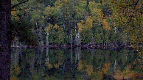 Historical photos cover photo