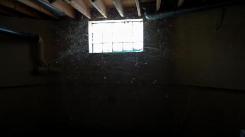 Discovery - Summer 2012 - ferndaleDSC_0211.jpg